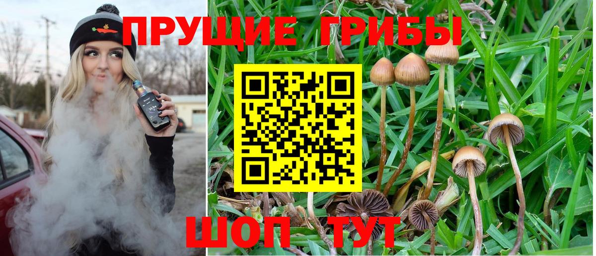 Псилоцибиновые грибы мицелий  Вход с VPN  закладки  Воронеж 