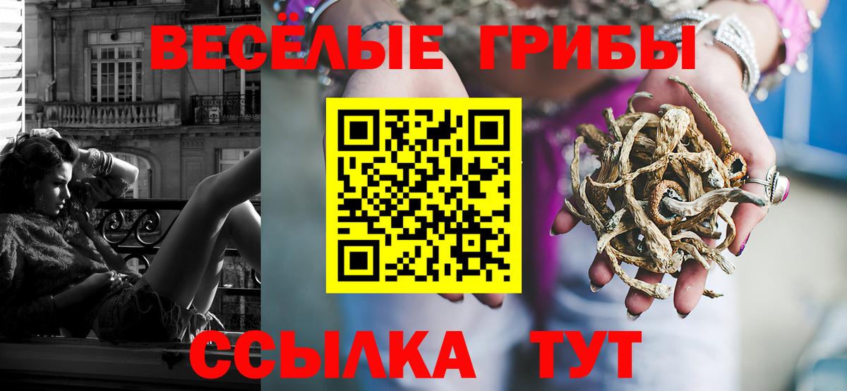 Псилоцибиновые грибы ЛСД Воронеж